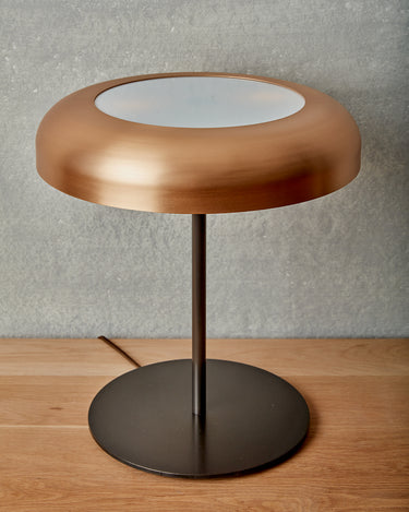 #size_large-16" #shade-finish_brushed-satin-bronze